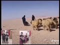 ياحادي الضعن