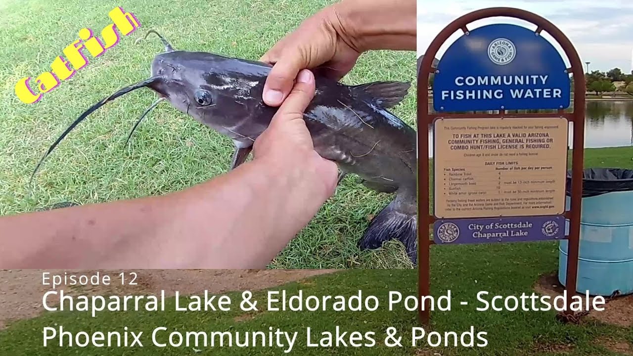 Question What Is A Community Fishing License In Arizona Bikehike