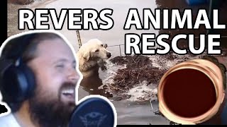 Forsen Reacts To Reverse Animal Rescue Compilation