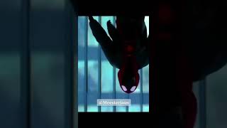 Spider - Verse - Rise (Meesterious Remix)