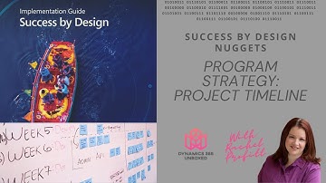 Program Strategy - Project Timeline