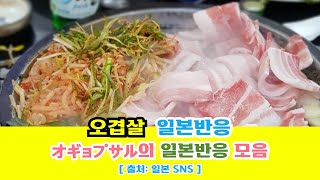 일본반응 | 오겹살(オギョプサル)의 일본 SNS반응 모음#일본반응#해외반응#중국반응#외국인반응