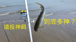 2021/09/14沙灘遠投 用這個魚當餌 驚喜不斷。保證下次會專程來釣這個魚