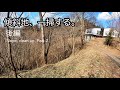 山の大掃除。絶景がさらにレベルUPしました。Cleaning up the mountains. The scenery just got a whole lot better.