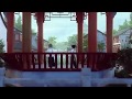 Woh Chali woh Chali ( Male) WhatsApp Status Video Whatsapp Status Video Download Free