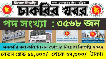 সরকারি কর্ম কমিশন নন ক্যাডার নিয়োগ বিজ্ঞপ্তি ২০২৫ | BPSC Non Cadre Job Circular 2025 | সরকারি চাকরি