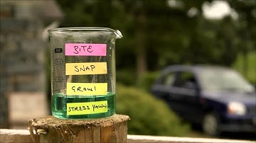 Stress / Trigger Stacking