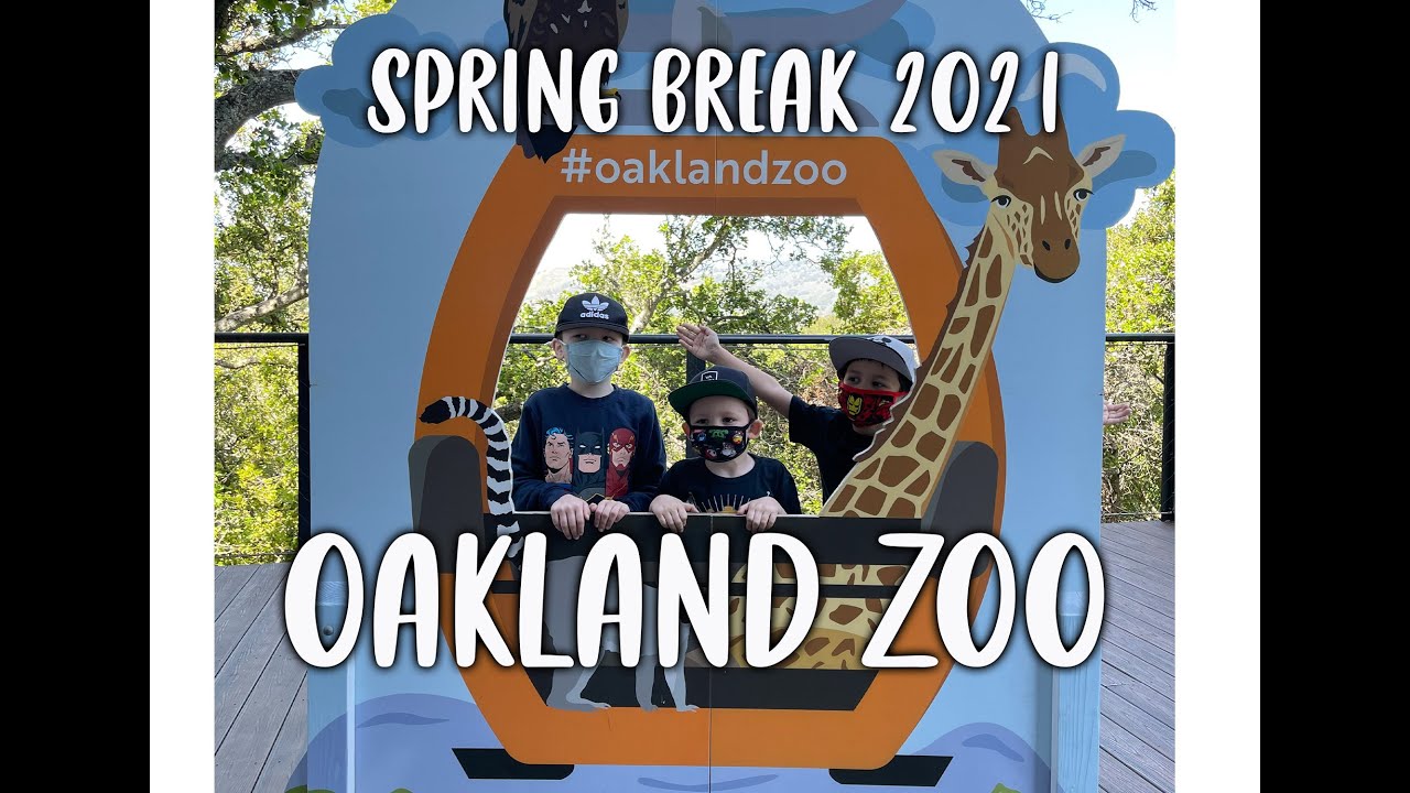Oakland Zoo Spring Break 2021 YouTube