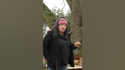 Types of Composting | Part 2 | Worm Composting