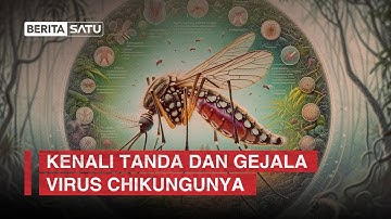 Kenali Tanda dan Gejala Virus Chikungunya