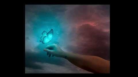 Photoshop for beginners Butterfly Fantasy  photoshop manipulation tutorial