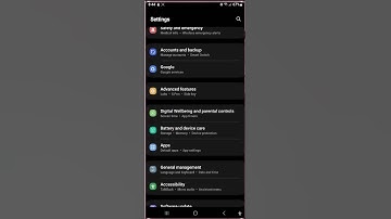 Short Samsung Galaxy S22 Ultra : How to turn on or off color inversion through accessibility button