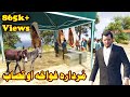 Murdara ghwakha  pashto funny  by babuji dubbing