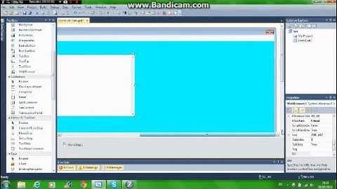How to make a Web Browser in vb 2010