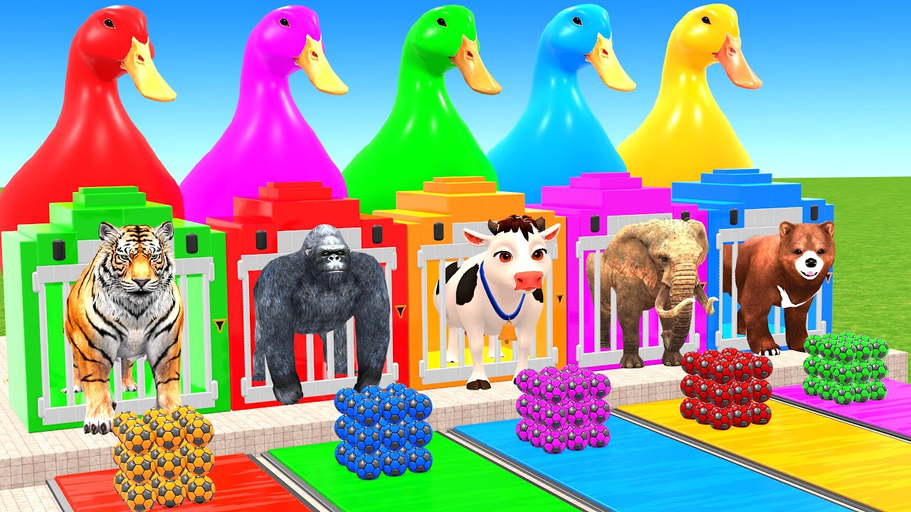 Long Slide Game with Cow Elephant Gorilla Hippopotamus Tiger 3d Animal Game Funny 3d Animals #5