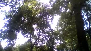 Capture 20150827 4