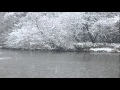 流れて津軽 &frasl; カラオケ採点女王・山倉しのぶ17
