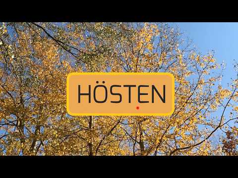 Video: Hur Man älskar Hösten