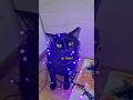 The Mysterious Behavior of a Black Cat!😂🐈‍⬛ #shorts #viral #usa #pets 