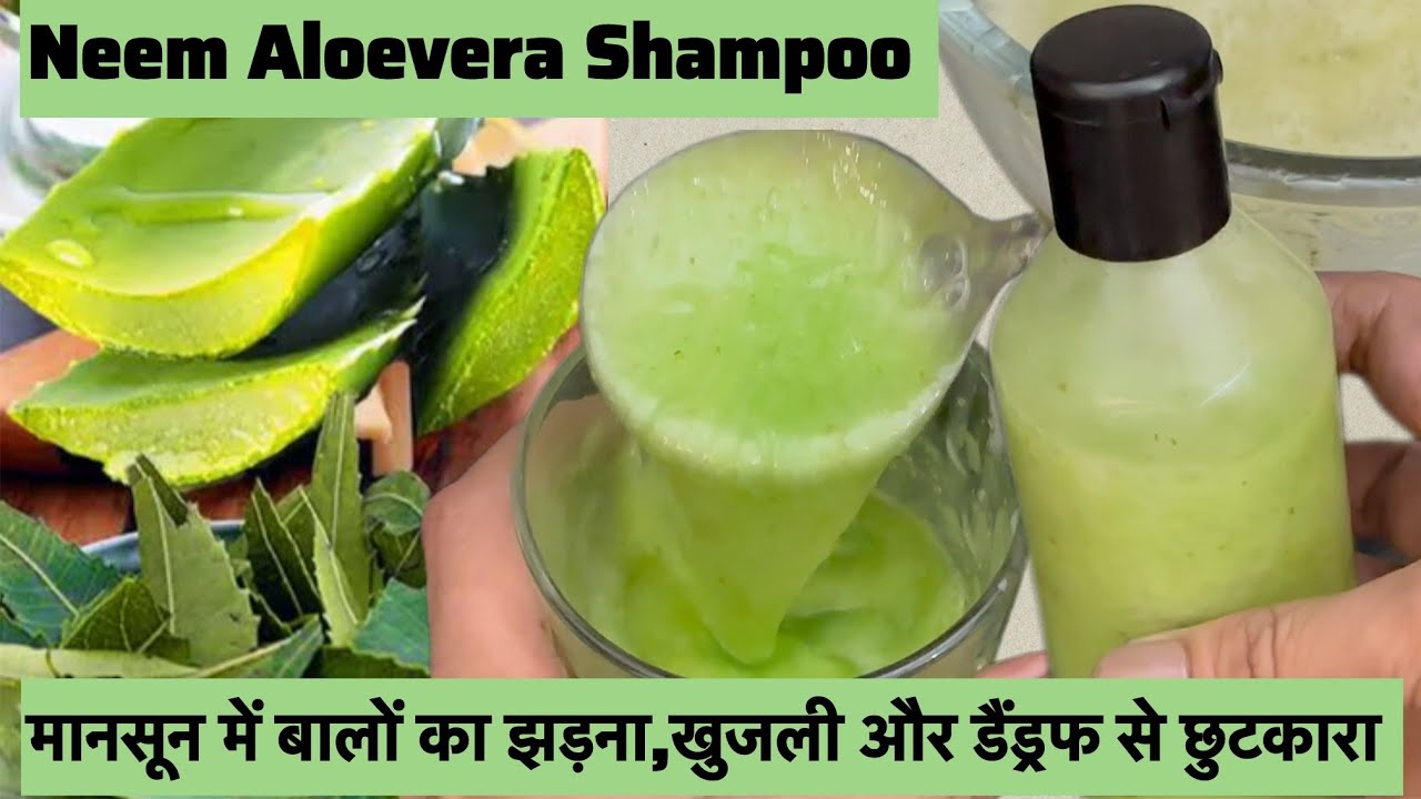 Monsoon Special Homemade Neem Aloevera Shampoo बालों का झड़ना,रूसी और खुजली जैसी समस्याओं से राहत