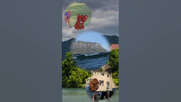 حالات واتس اب 