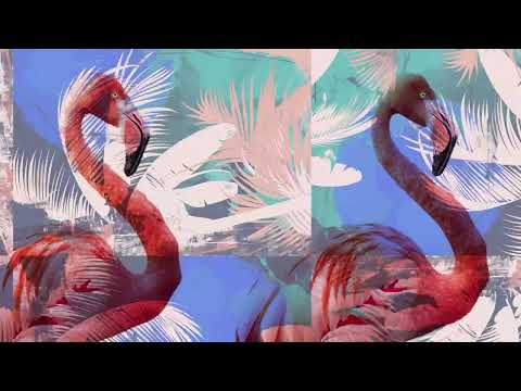 Ai Calica Ai Caraca (Visualizer) MC Siilver MK, DJ Nando Beatz