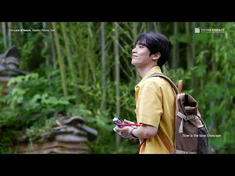 2023 <strong>Hadong</strong> World Tea Expo will be held 🌿 Scent of nature, healthy future tea