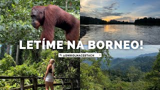 LETÍME NA BORNEO!  uletělo nám letadlo, viděli jsme orangutany a krokodýly