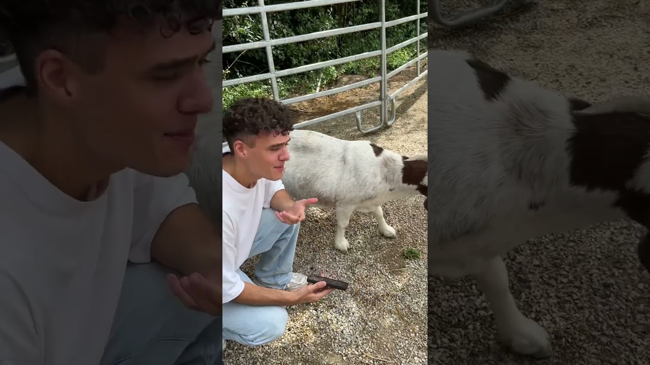 Showing THE GOAT my new song!