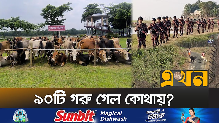 ভারতীয় গরু নিয়ে প্রশাসন-বিজিবির পাল্টাপাল্টি দোষারোপ | Bangladesh India Border | Indian Cow | BGB |