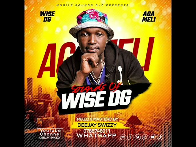 Sounds Of Wise DG Agameli - Mixtape | Deejay Swizzy class=