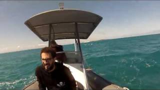 Albatross Rescue and Release by Sea Shepherd Perth