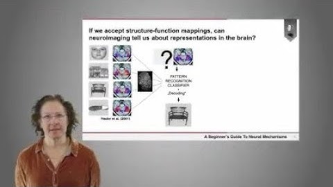 Can neuroimaging tell us about representations in the brain? | Dr. Adina Roskies (Part 3 of 4)