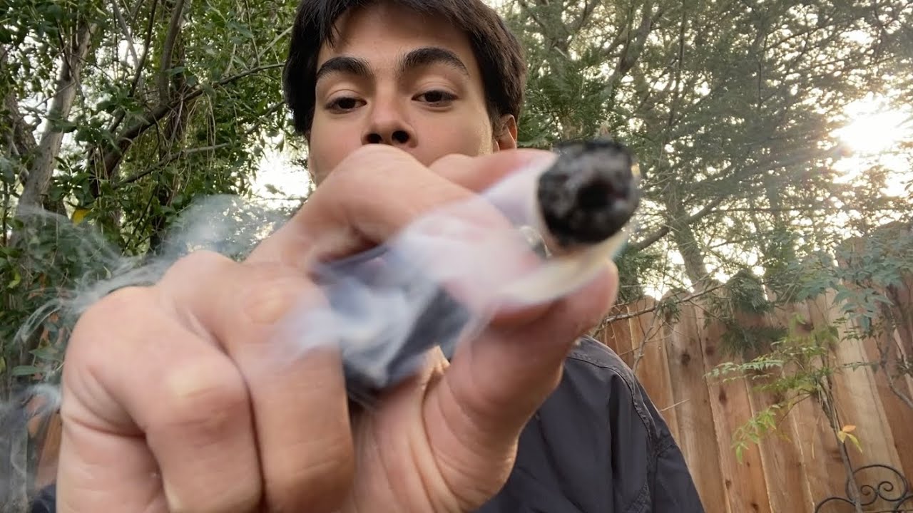 Donut Paper Plane 🚀