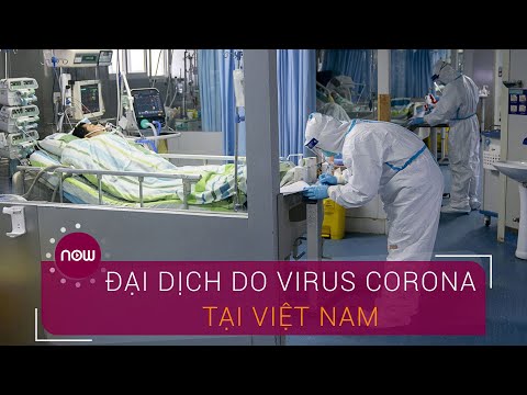 Cập nhật đại dịch do virus Corona tại Việt Nam | VTC Now