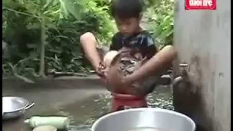 Cậu bé chim cánh cụt - Ước mơ trở thành kỹ sư tin học (CNTT)