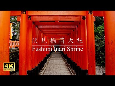 伏見稲荷大社 : Fushimi Inari Shrine（Kyoto, Japan）