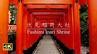 伏見稲荷大社 : Fushimi Inari Shrine（Kyoto, Japan）