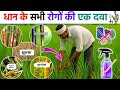 धान में शीत ब्लाइट | झुलसा | तना गलत | कंडुआ | भूरी चित्ती आदि सभी रोगों की एक दवा || Dhan ke rog.