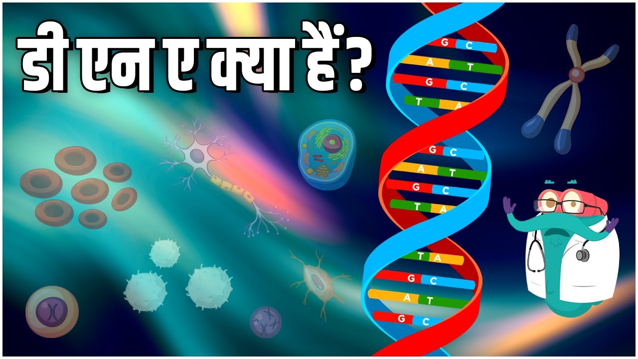 What Is DNA In Hindi Dr Bincos Show Educational What Is DNA In Hindi Dr Bincos Show Educational