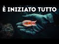 L'oceano nasconde segreti che non eravamo destinati a scoprire