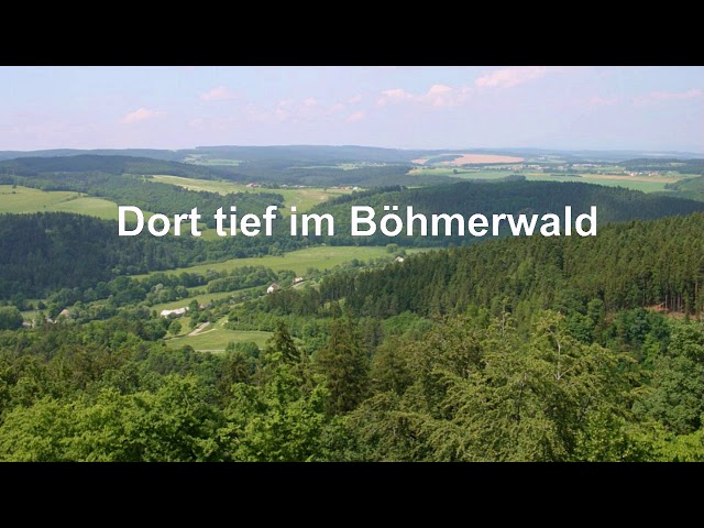 Ernst Mosch und seine Original Egerländer Musikanten - Dort tief im Böhmerwald