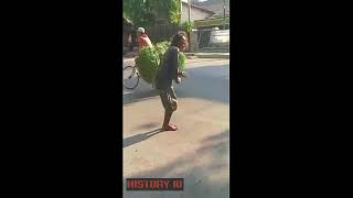Story WA Entah Apa Yang Merasukimu  LuCu
