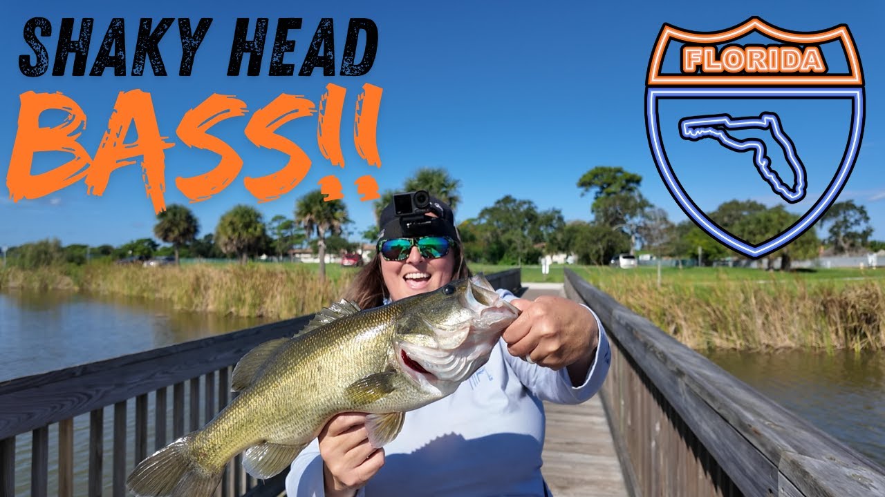 Bass Fishing in September Big Bass Baby!!! #2025 #girlfishing #foryou #bigbass