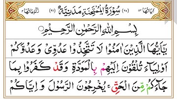 Surah Al-Mumtahinah | Sheikh Ali Jaber | 13-Line Tajweed Quran | 60 - سورة الممتحنة