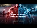 The Secret of Strength &amp; Endurance 07 | Fast-Twitch vs Slow-Twitch Muscle Fiber | the ultimate GYAN