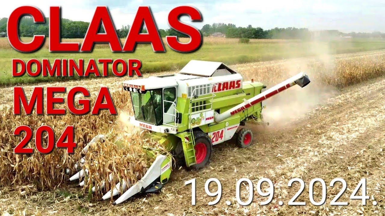Zetva Kukuruza 19.09.2024. | CLAAS DOMINATOR MEGA 204 | Corn harvest