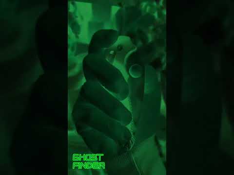 Spyderco Manix 2 ????????????????????