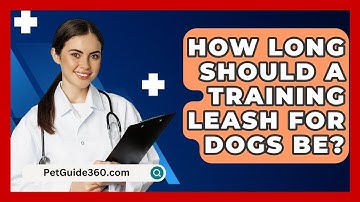 How Long Should a Training Leash for Dogs Be? - PetGuide360.com