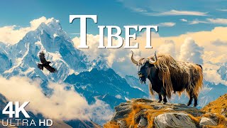 Tibet 4K Drone  Scenic Relaxation Film With Calming Music  4K Video Ultra HD